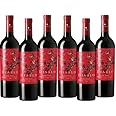 Diablo Dark Red Wine - Case of 6 Bottles (75 cl Each) - Premium Quality Red Wine Collection