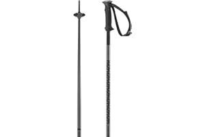 SALOMON Polar, Alpine Poles WSE,