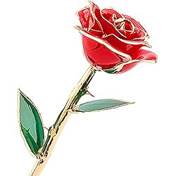 Rosa Real Bañada en Oro 24k, Hecho a Mano con Láminas de Oro y Rosa Real, Regalo Ideal Para el Día ee San Valentín Día de la Madre Navidad Cumpleaños y Boda, Amor Eterno con Caja de RegaloRosa Real Ba