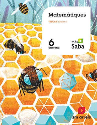 Matemàtiques 6 Primària Mas Saba
