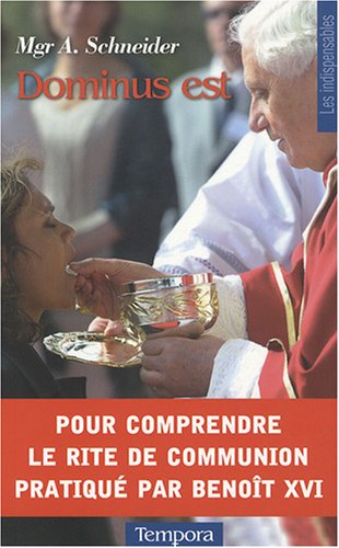 Téléchargez gratuitement ebook ebook Dominus est 2916053352 MOBI RTF