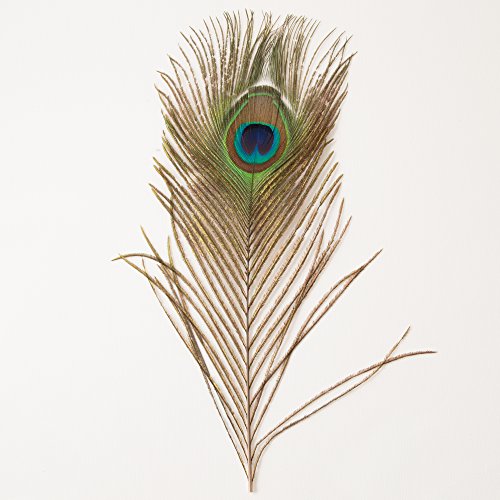 ROSEMARIE SCHULZ® Heidelberg 12 natürliche Pfauenfedern 25-30cm lang – Federn zum Basteln, Schmücken und zur Dekoration - 4