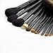 Luxury 21 PCS Professional Makeup Brush Tools Sets / Kits Natural Cosmetic Animal Hair Brushes with Pouch and Bag (21 pcs, Black)