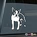 Produktbild SUPERSTICKI® CCI065 - Boston Terrier Standing Vinyl Aufkleber Decal Hintergrund/Maße in inch Sticker Car/Truck Laptop/Netbook Window |5.5 X 3.5 in Aufkleber Decal Hintergrund/Maße in inch