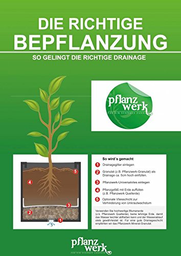 PFLANZWERK® Pflanzkübel DRAINAGE GITTER 3er Set *STAUWASSER-SCHUTZ* *PERFEKTER WASSERABLAUF* *QUALITÄTSWARE* - 5