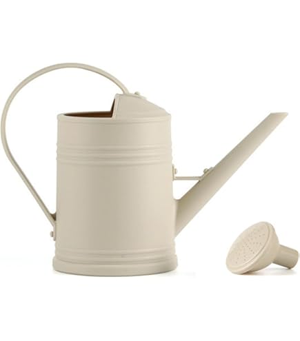 CKB LTD Outdoor Watering Can Metal Galvanised Steel With Brass Rose For Large Small Gardens Flowers And Plants Heavy Duty Rustproof 1.5L