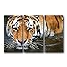 Produktbild 3 Stück Wand Kunst Malerei Wuppertal Tiger Face Bilder Prints auf Leinwand Tier das Bild Decor Öl für Home Moderne Dekoration Print