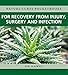 Produktbild Recovery from Injury, Surgery and Infection (Nature Cures Pocketbooks, Band 5)