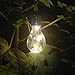 Produktbild 1 PC Solarlampe Solar Birne,BBTXS LED Solar Hängeleuchten Glühbirne Wasserdicht Outdoor Garten Camping Hängen LED Leuchte Lampe Glühbirne Glas, transparent