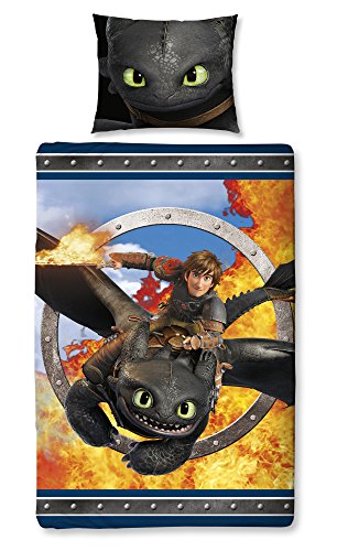 Bettwäsche Set Dragons Drachenzähmen leicht gemacht 135x200cm + 80x80cm, Linon, 6331, bunt