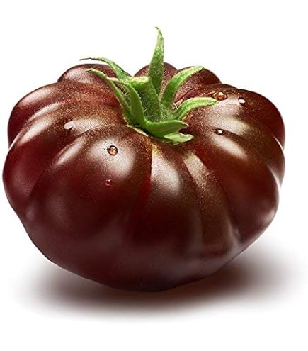 Graines De Tomate Marmande RAF Bio - 85 Graines, Variété Côtelée Saveur Excellente