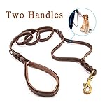 Leder Hundeleine 2 Griffe, Focuspet 176x1.5cm Doppelte Griff...
