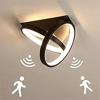 Qiaomao LED Dimbare Rechthoek Plafondlamp Woonkamer Lamp met Afstandsbediening, Moderne Minimalistische Plafondlicht, Creatieve Metalen Acryl Design Verlichting Slaapkamer Decor Lamp, Zwart, 80cm