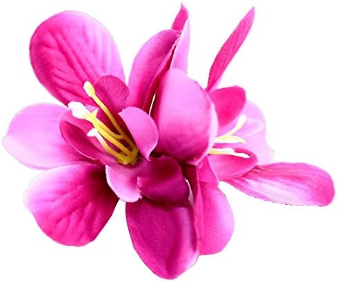 1 Barrette Slide Hair Tie Blossom Flower Daisy Bow Ribbon Braid Bobby Pin Clip