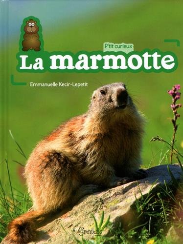 couverture de : La marmotte