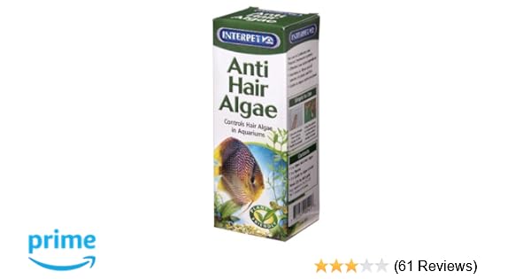Interpet Treatment Anti Hair Algae 100 Ml Amazon Co Uk Pet Supplies