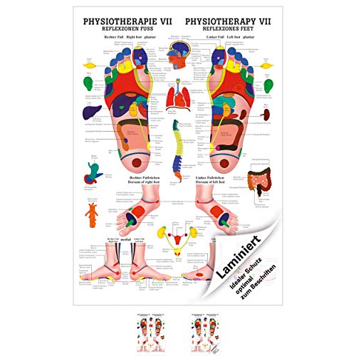 ᐅᐅ 01 2020 Fussreflexzonenmassage Poster Alle Top Modelle Im