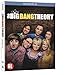 The Big Bang Theory - Saison 8