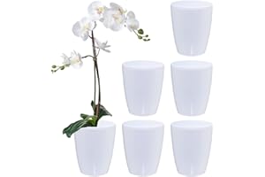 Santino Juego de 6 Macetas para Orquídeas Ø 12cm Macetas Autorriego con Sistema de Mecha e Indicador de Nivel de Agua para Interior (Ø 12cm - 1,3L - Blanco)