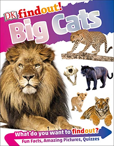 Price comparison product image DK Findout! Big Cats
