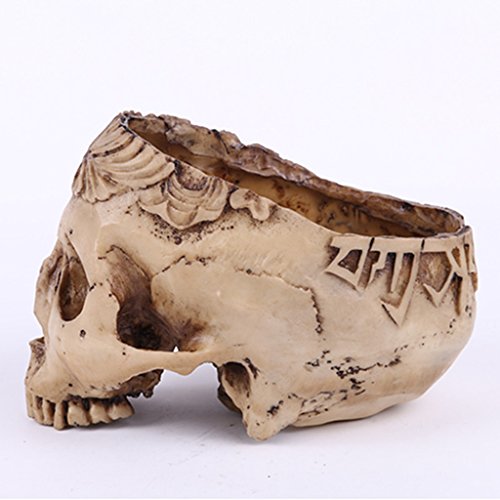 MagiDeal Menschlichen Schädel Kopf Design Figur Modell Blumentopf Pflanzen Container Haus Bar Dekor Weiß - 8