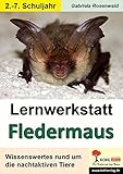 Lernwerkstatt Die Fledermaus by 
