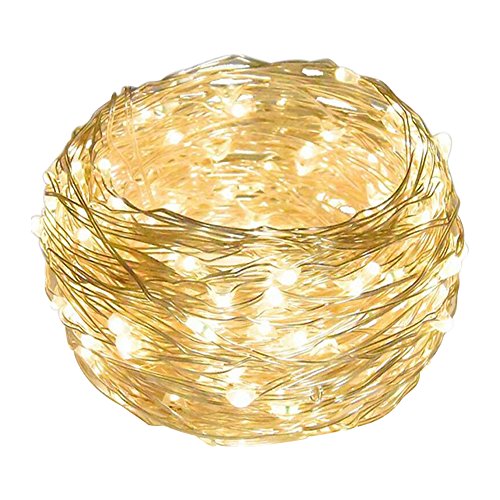 Eastlion Bunte Ferien 10 Meter Silber Draht Dekorieren Schnur Licht mit DC Power für Chrismas, Halloween, Silvester, Hochzeit Hintergrund Layout, Hotels, Restaurants, Bürogebäude, Wohnhaus, Schaufenster, Clubs, Konzerte, Warmweiß