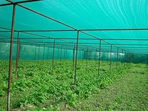 ZHENGTU Multipurpose Fruit Plants Nursery, Cattle shed, Poultry Farming, General Purpose Shading Evergreen Shade Net 75% Shade Greenhouse UV Stabilized Net (75 % uv Green shadenet, 3 x 5 m)