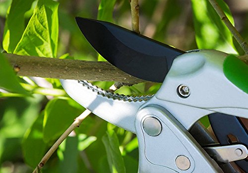 Gartenschere Ratchet Secateurs Primus Qualität Blades Landwirtschaftliche Heavy Duty Ergonomische Garten Hand Pruners Baumscheren - 4