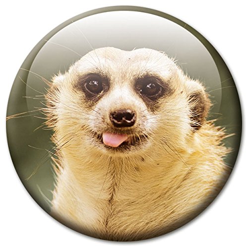 Erdmännchen – Tierische Design Metall Magnettafel 40×30 cm – Pinnwand Memoboard mit Motiv: Erdmännchen – inkl. 4 Magnete mit Motiven von Erdmännchen für Magnetwand – Original Magnetpinnwand GUMA Magneticum - 7