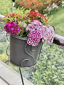 Urban Born Pots for Plants Balcony with Plant Stand and Free Flower Pot. Hanging Pot for Plants, Hanging pots, Hanging planters for Balcony (Finish Charcoal Black)