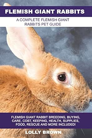 flemish giant rabbit food