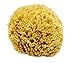 Unbleached Honeycomb Natural Sea Sponge - Strong type