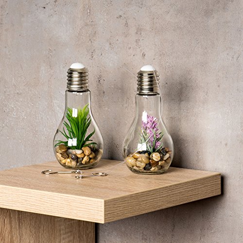2er Set Sukkulenten LED Glühbirne Glas B x H: 8x19cm Deko Lampe Kunstpflanze Grün Rosa Hängelampe - 5