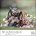 Produktbild Wo die Liebe hinfliegt 2019 – Schäferhund Ingo & Steinkauz Poldi – Wandkalender mit Spiralbindung – DuMont Quadratformat 24 x 24 cm: Ingo & Poldi