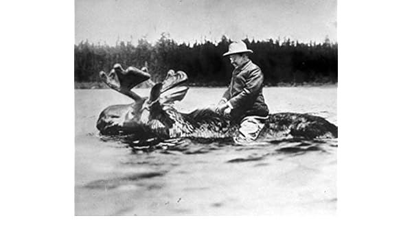 teddy roosevelt riding a moose cool