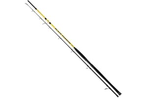 Black Cat Black Passion G2 Banc Canne à pêche au poisson-chat, 300 cm, 600 g, à emboîter pour la pêche au rivage