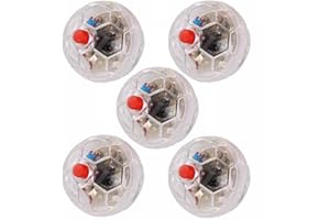 ATIN 5Pcs Ghost Hunting Touch Activated Flashing Balls, LED Motion Light Up Cat Dog Balls Interactive Toys Pet Glowing Mini Running Exercise Ball Toys for Animals Activity