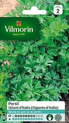 Vilmorin 3790542 Pack de Graines Persil Commun Géant d'Italie