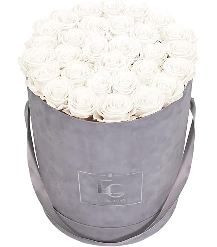 6 Stück Echte Infinity Rosenköpfe 5-6cm - Konserviert Für 3 Jahre Haltbarkeit