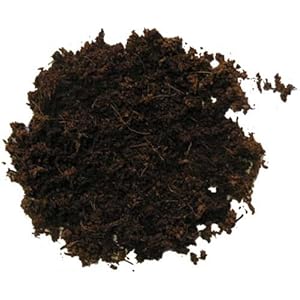 Terrano Forest, 25 l