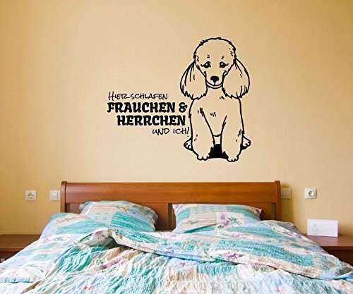 Wandtattoo Poodle Pudel Spruch Hier schlafen Frauchen & ich Spruch Tier Hunde dog Tür Aufkleber Schlafzimmer 1B165, Farbe:Schwarz Matt;Breite vom Motiv:55cm