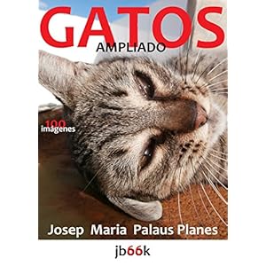 Gatos [ampliado]