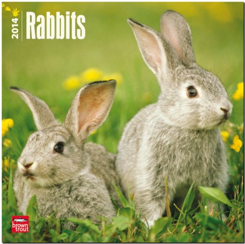 Download Rabbits 2014 - Kaninchen: Original BrownTrout-Kalender [Mehrsprachig] [Kalender]