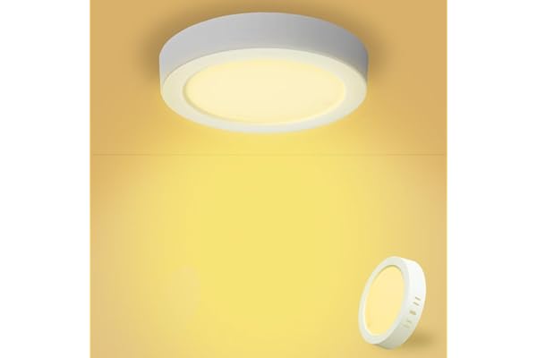 Yexati Pack 1x Panel LED Circular 15W 1800LM, Plafon Superficie LED Redondo 3000K Color Blanco Calido, Driver Incluido. IP44 Angulo 120 para Dormitorio Cocina Salon Baño Comedor Pasillo 170 * 28Hmm