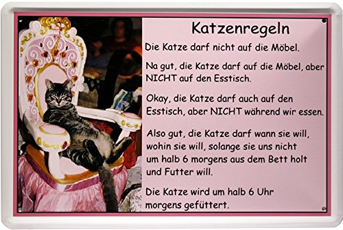 Blechschild Katze Cats Spruch Katzenregeln 20 x 30cm Reklame Retro Blech 1256