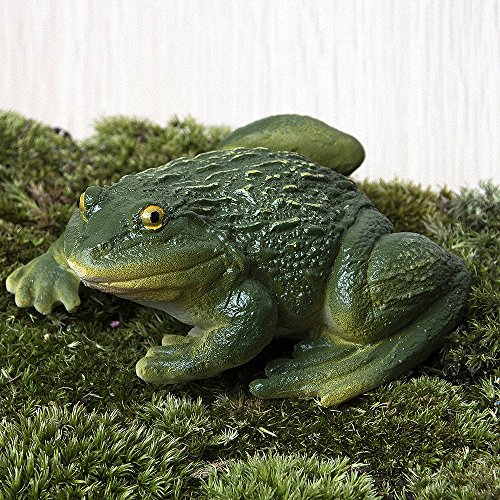 SecretRain Lebensechter Frosch aus Harz Miniatur Miniwelt als Gartendeko oder Geschenk - 5