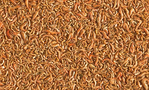 Tetra Pond Shrimp Mix Ergänzungsfutter (Leckerbissen für Teichfische aus natürlichen Shrimps und Gammarus, schwimmfähige Futtermischung), 1 Liter Dose - 4