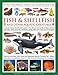 Produktbild World Encyclopedia Of Fish & Shellfish And Other Aquatic Creatures: A Natural History Identification Guide to the Diverse Animal Life of Deep Oceans, ... Ponds, Lakes and Rivers Around the Globe
