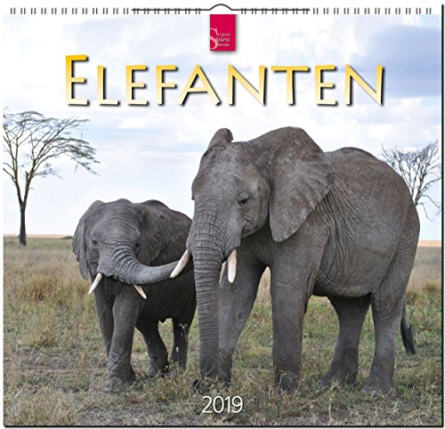 MF-Kalender ELEFANTEN 2019
